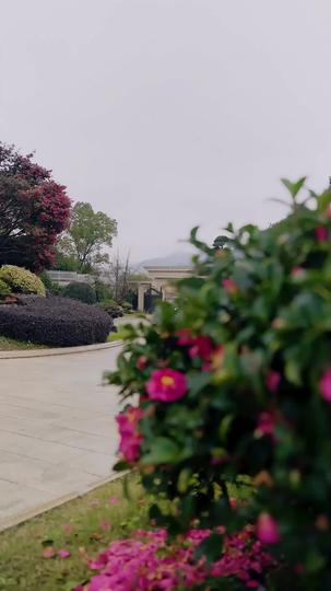 Blood Never Forgets Episode 1