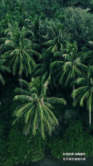荒野女王 第1集