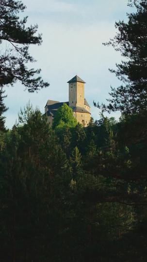 A Substituta Destinada do Alfa 1Episódio