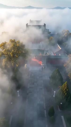 震惊：祖母让我振兴家族 第4集