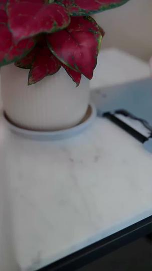 Pawn in the Game, Justice in Her Hands Episode 3