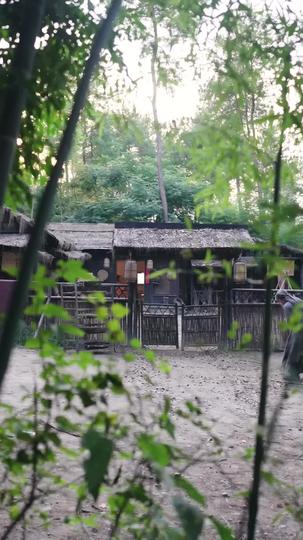 系統助我:亂世娶妻成霸主 第4集