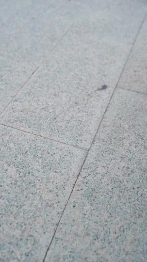 Crowned in Ashes Episode 8