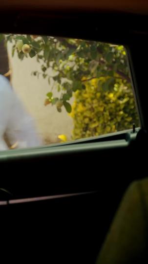 Runaway Bride, Billionaire's Catch Episode 2