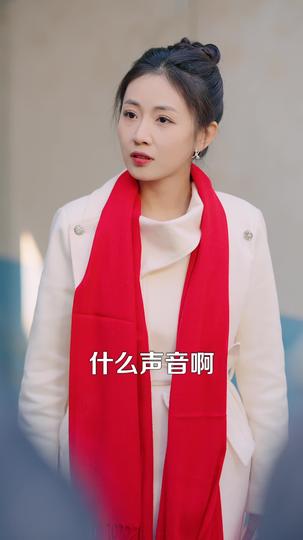 回娘家,过大年 第9集