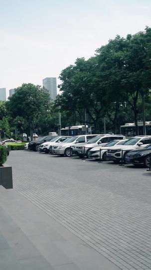 天师悟道不迟 第11集