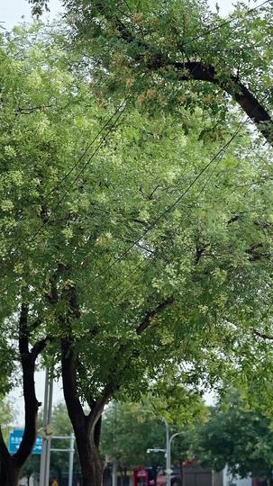 穿到十年后,拯救好大儿 第1集