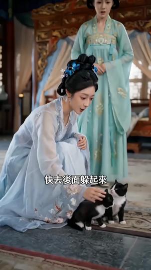 生下貓崽後，我被皇帝追著寵 第11集