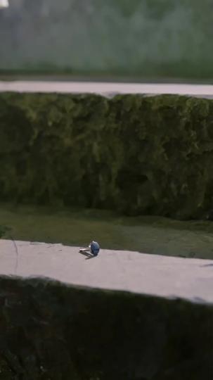 Cette Fois, Il Ne La Laissera Pas Partir Épisode5