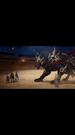 Episodes 25