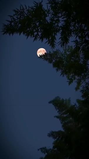 Yang Bersembunyi dalam Sunyi Episode 1