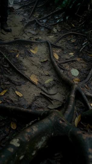 Anaconda Island: A Nest of Lies Episode 8