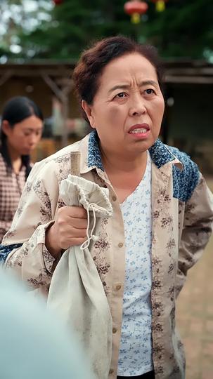 万里归乡之麦浪无声 第6集