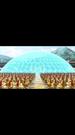 Rise of the Mortal Sovereign 9مجموعة