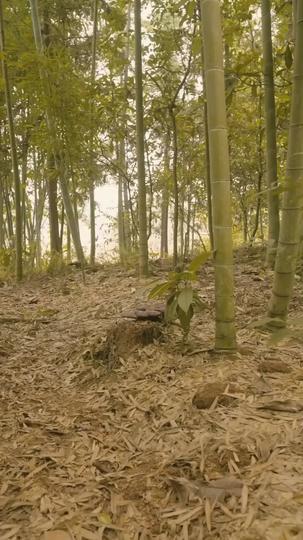 情暖人間 第7集