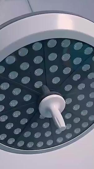 Bonded by Thorns Episode 1