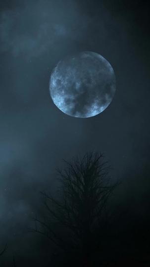 Gepaart mit dem Alpha-Vater meines Verlobten 1Folgen