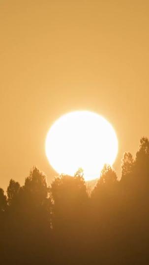 仙緣未了,失約的月亮 第11集