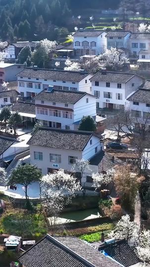 配達員が超凄腕名医だった？！ 第 5 話