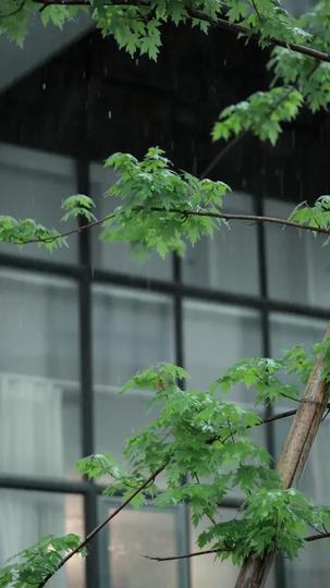 我在回憶裏萬劫不復 第10集