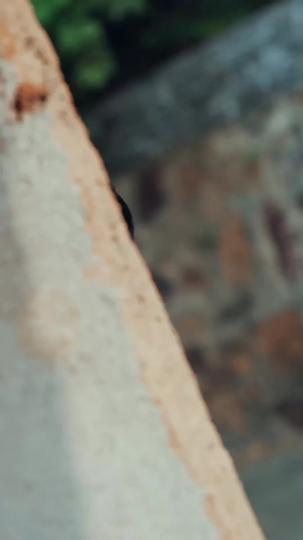 A Body, A Lie, A Truth Episode 7