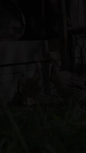 此生逍遥天休问 第1集