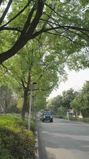 From Hero to Heir: The Making of a Legend Episode 5