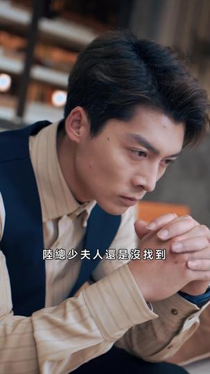 離婚後,夫人馬甲震驚全球 第9集