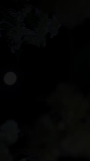 Fate Woven in Revenge Episode 1