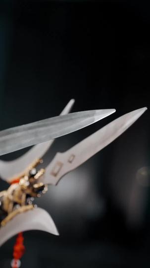 满级保镖，一拳破局 第11集