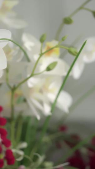 流年深深深几许 第1集