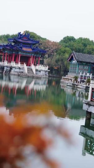 Silk and Blood: Her Shadowed Vengeance Episode 5