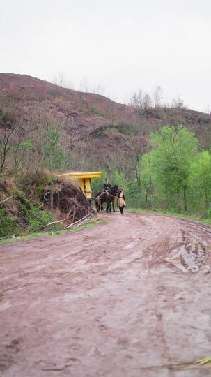 皇家团团 第7集