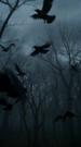 Episodes 40
