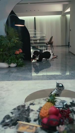 振り向かない決心 第 7 話