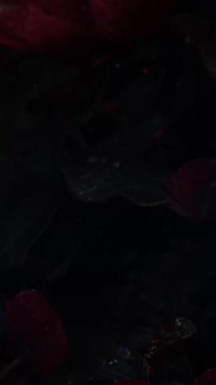 Her Majesty Episode 1