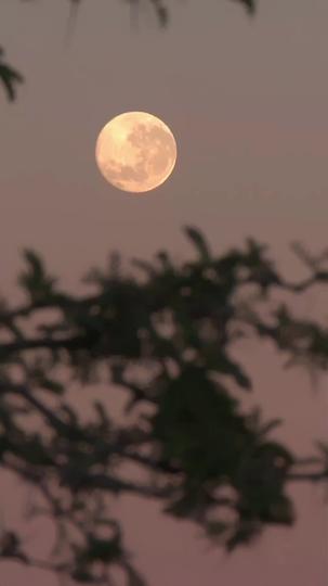 Eu Armei o Jogo, Ele Ganhou Meu Coração 8Episódio