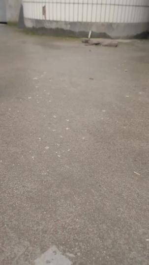 沉罪入眠 第4集