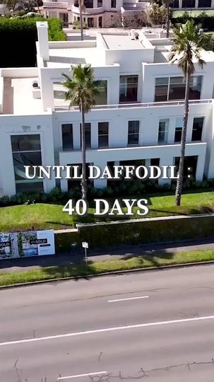 From Fat to Fab: Ex-Wife's Revenge Episode 8