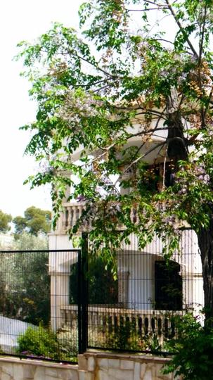 My Three Knights Episode 4