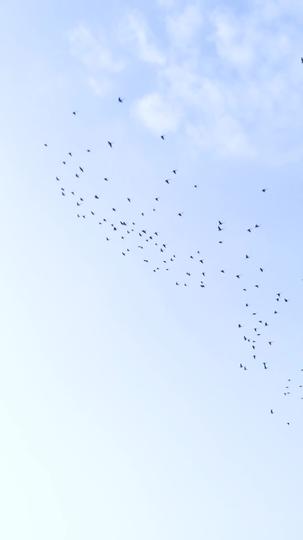 The Officer Fell For Me Episode 5