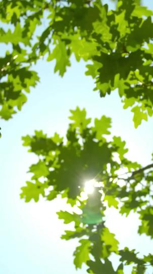 Life Without You, Perfected Episode 6