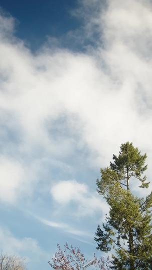 My Very Royal Romance Episode 3