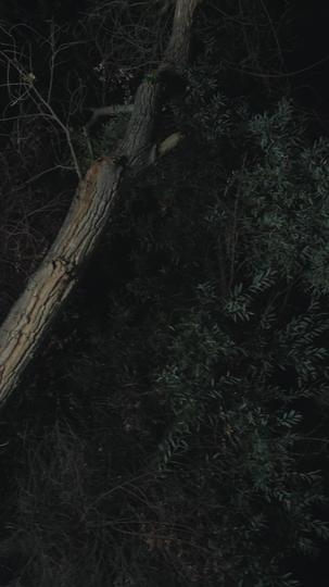 Fated to My Rival's Alpha Father Episode 8