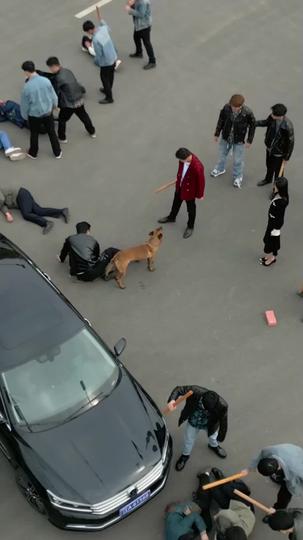 怒りの臨界点、怒ってはいけない男 第 8 話