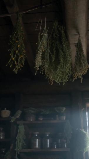 Covenant of the Witch Episode 6
