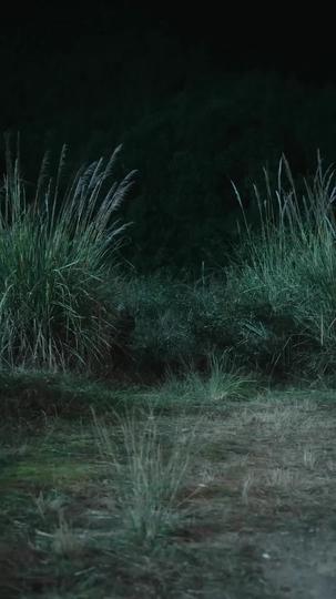 一品军侯 第7集