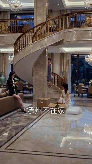 顾先生,你的家产被清空了 第2集