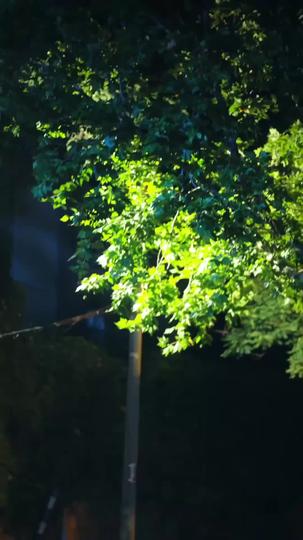 Replaying the Color of Our Days Episode 6