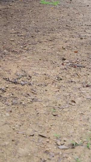 Once a Joke, Now a Jewel Episode 3